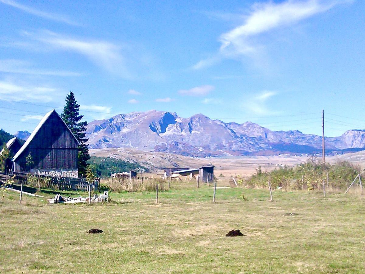 Eco Village Pavlovic * Zabljak (Zabljak)